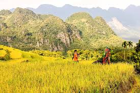 Vietnam Cycling Tour of the Red River Delta 4 Days